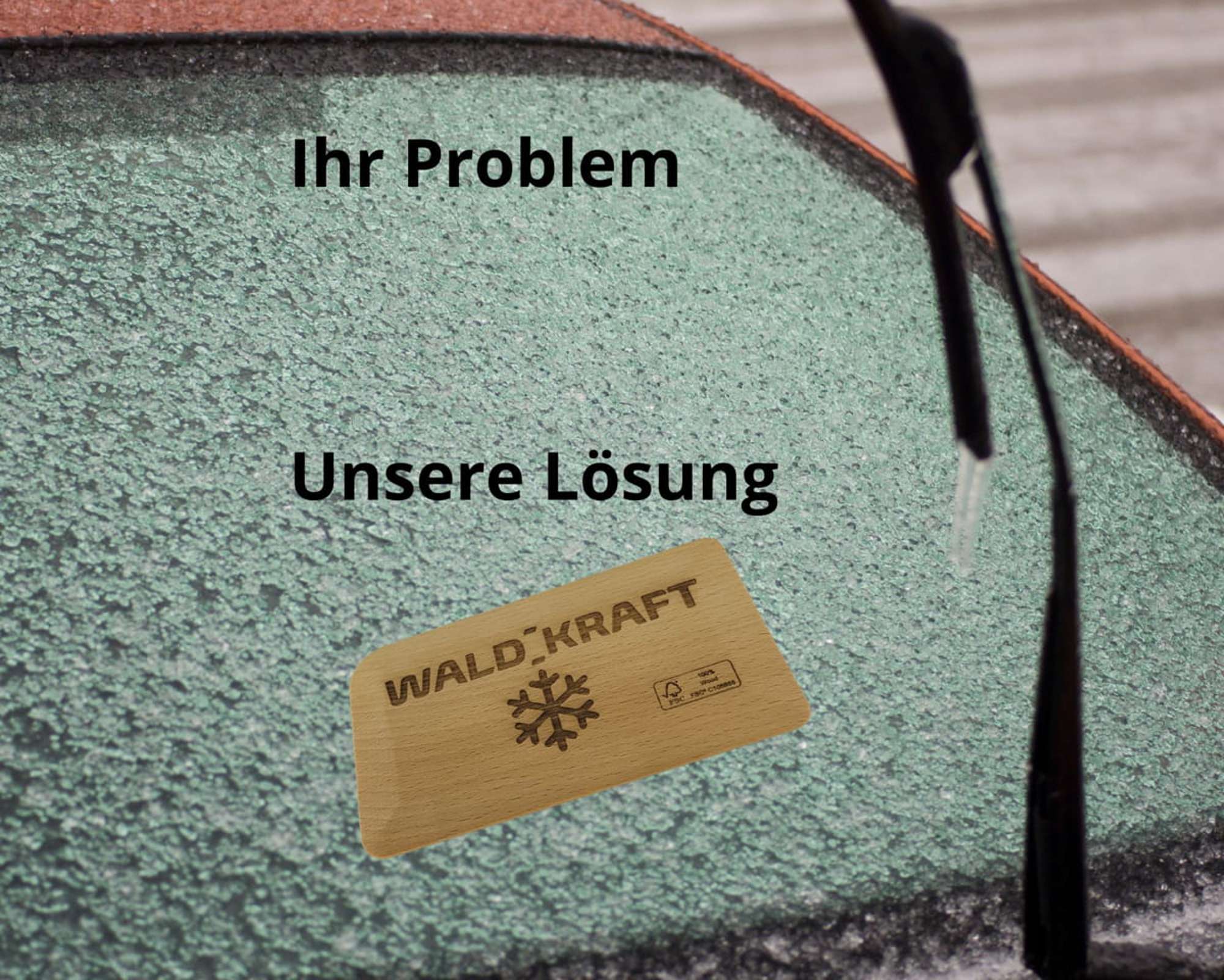 WALDKRAFT Windschutzscheibenkratzer aus Buchenholz