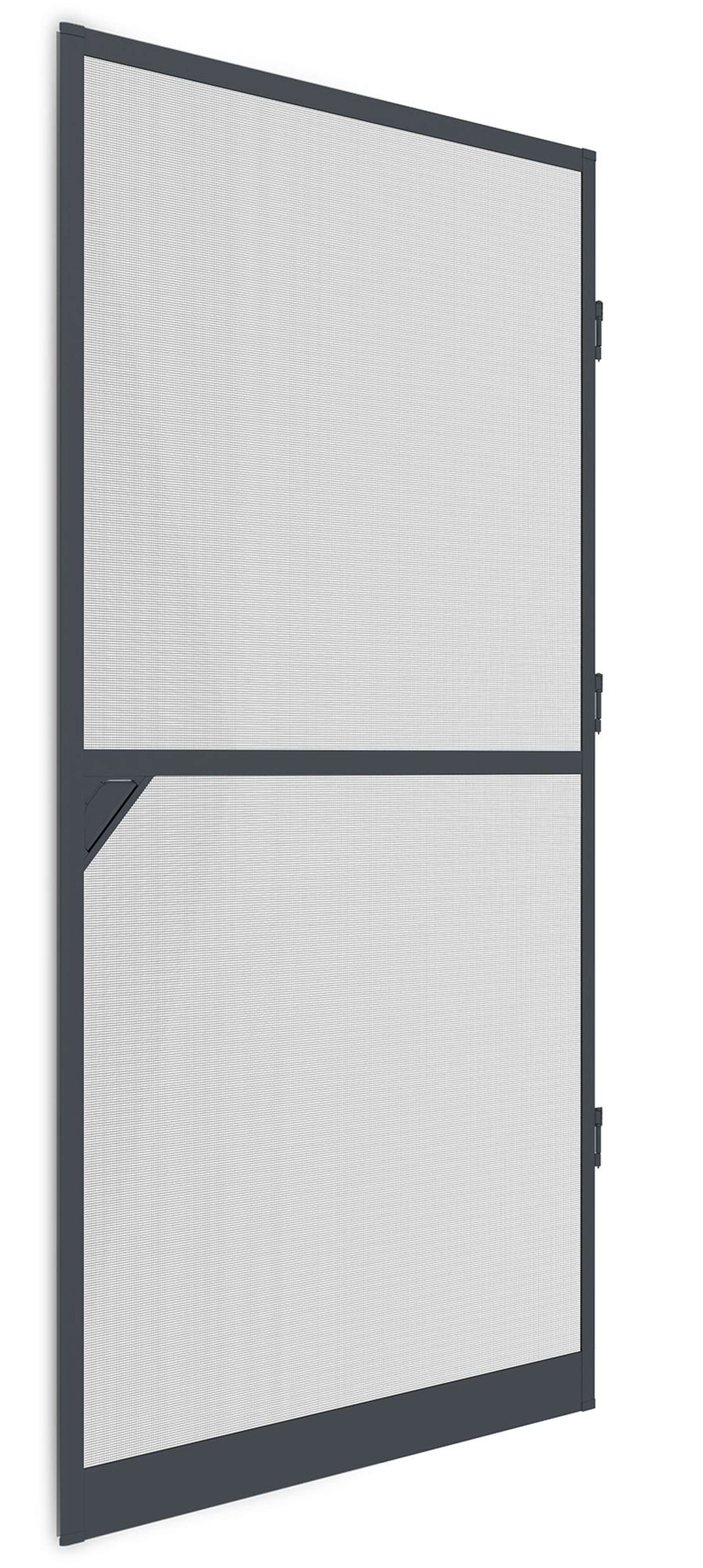 IS-Alu-Tür 100 x 210 cm anthrazitgrau proLINE 2.1