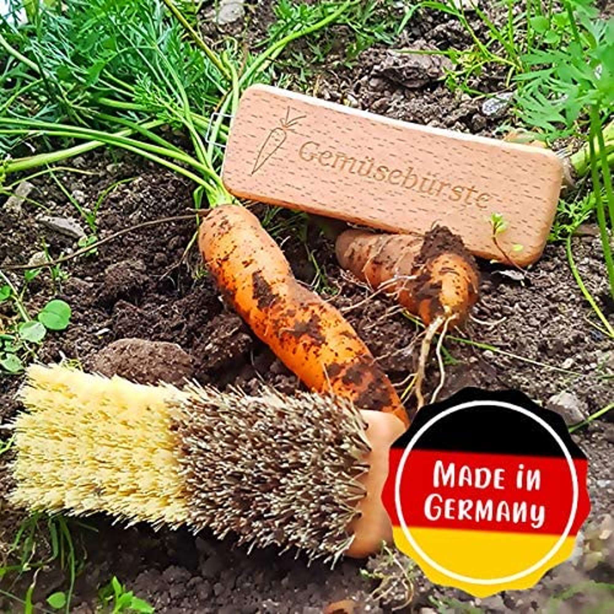 Gemuesebuerste Union/Fibre Natur